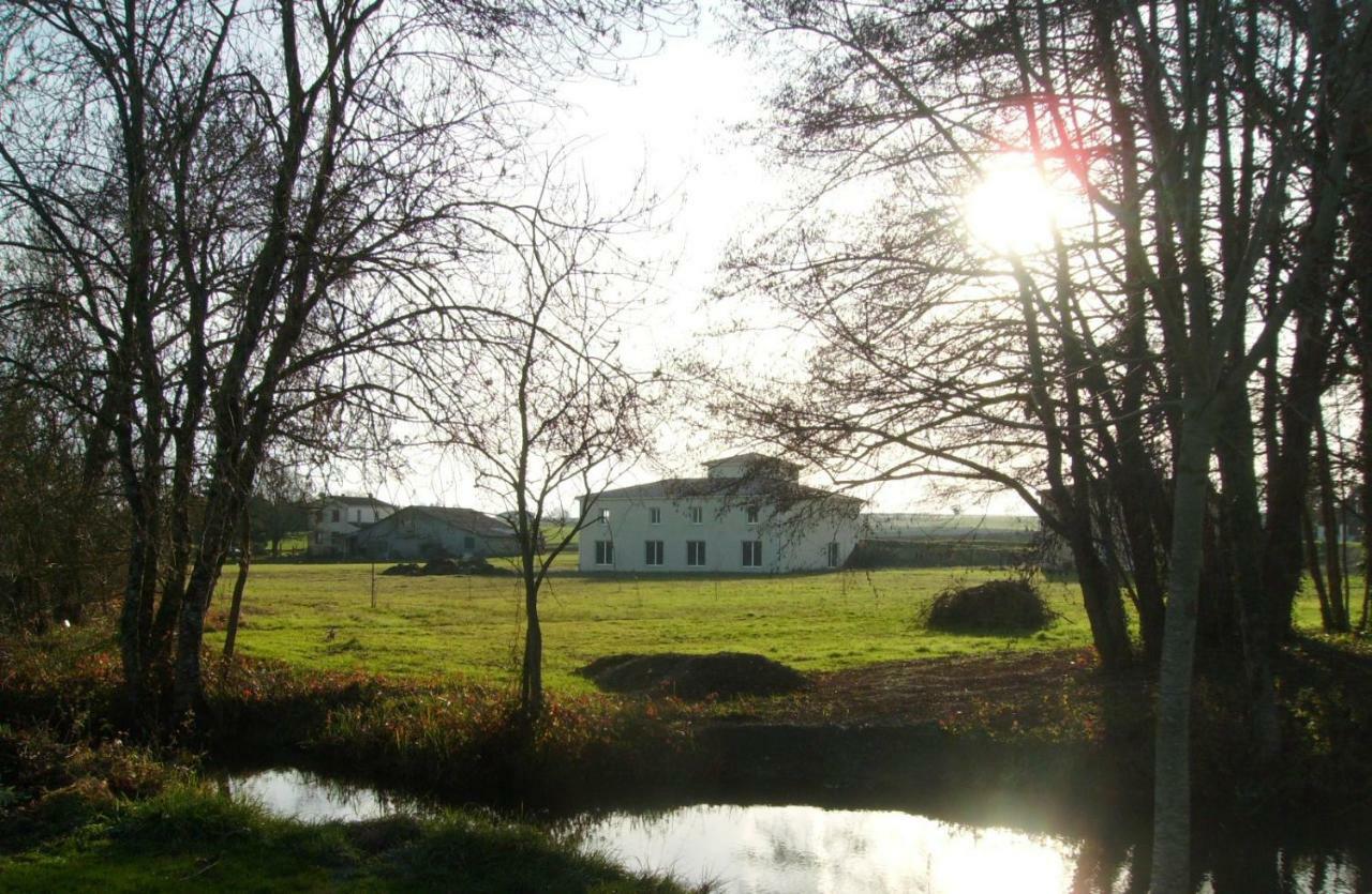 Au Pied Du Lariat Bed and Breakfast Léoville Exteriör bild